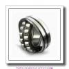 180 mm x 320 mm x 86 mm  SNR 22236.EMW33C3 Double row spherical roller bearings
