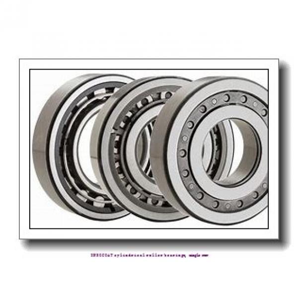 80 mm x 125 mm x 22 mm  skf NU 1016 ECM/C3VL0241 INSOCOAT cylindrical roller bearings, single row #1 image